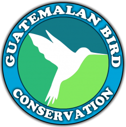Guatemalan Bird Conservation